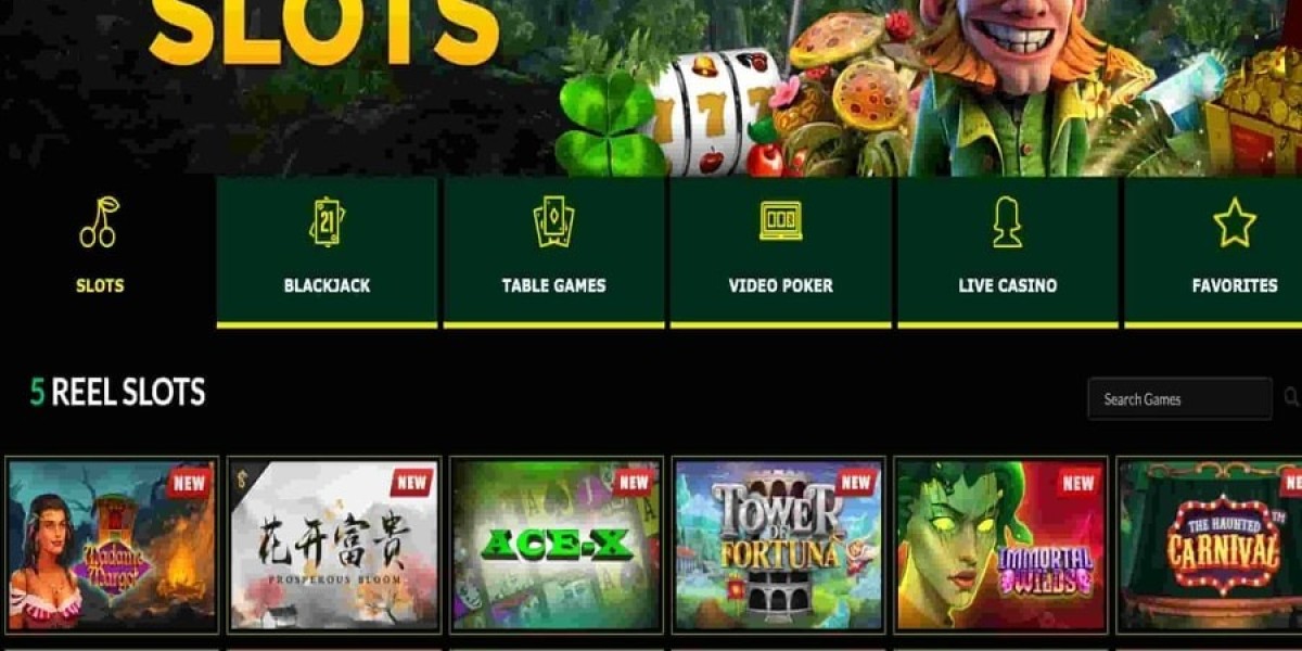 Explore the Top Casino Site