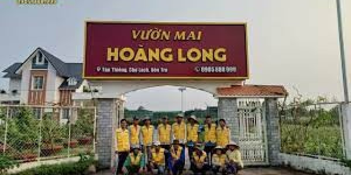 Tổng hợp 10 thế mai vàng đẹp, ý nghĩa phong thủy ngày Tết